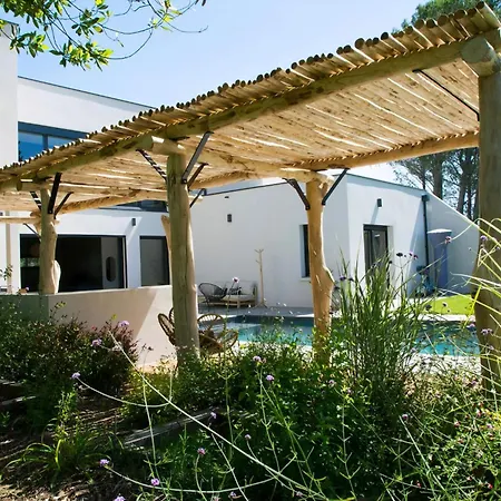 Contemporary With Pool In